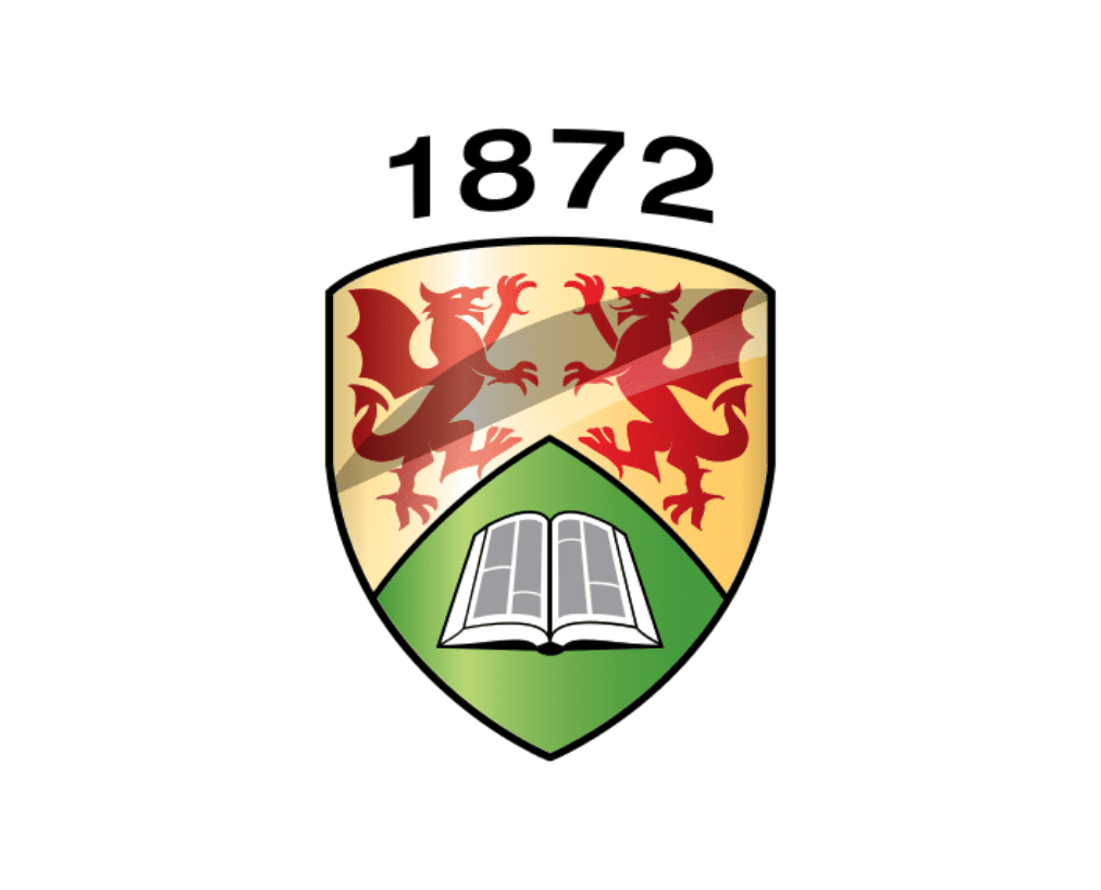 Mental Health Lecturer in Healthcare Education